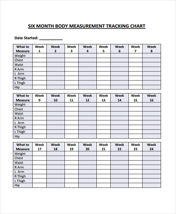 Height And Body Measurement Chart
