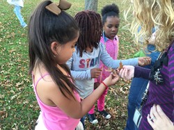 Boulevard students participating in the After School Nature Club