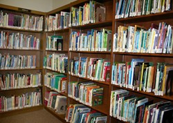 Books on a library shelf