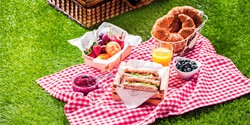 Picnic basket with food on grass
