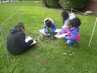 Children studying biocube outside