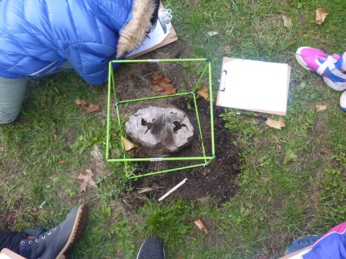 Biocube on ground