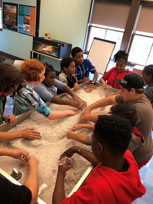 Students working with sand