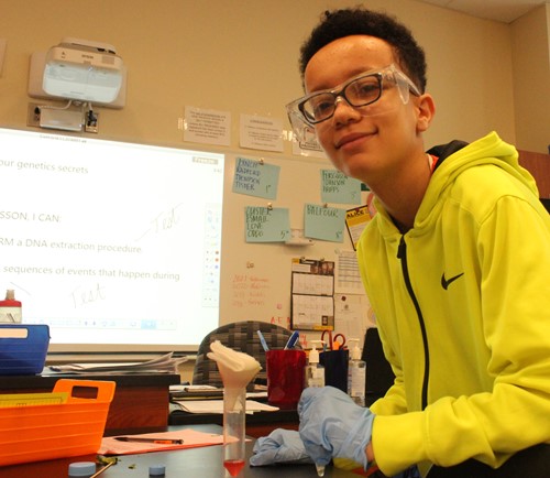 Biology student conducts experiment to extract DNA from a strawberry