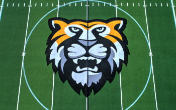 football field logo