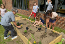 Roxboro Elementary Garden