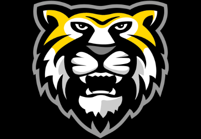 tiger logo