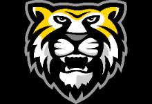 tiger logo