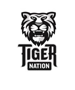 Tiger Nation 9-12 gray EPS