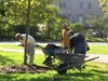 Boulevard Elementary School Beautification Day