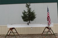 Topping Out Ceremony