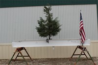 Topping Out Ceremony