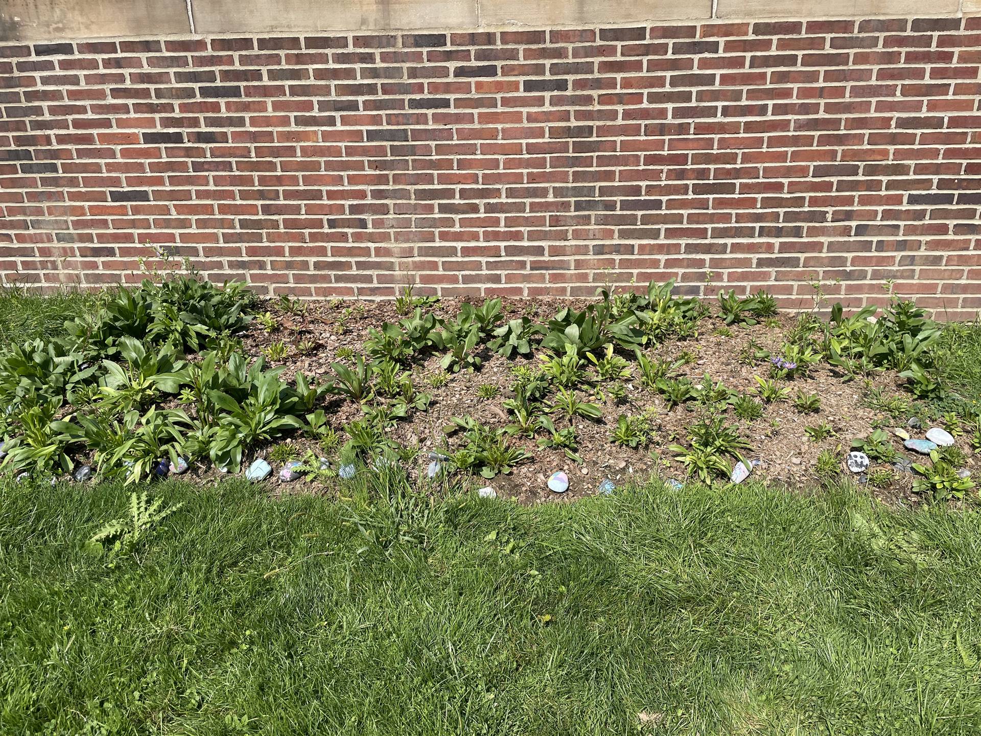 Noble CLC Garden & Litter Clean Up, 2022